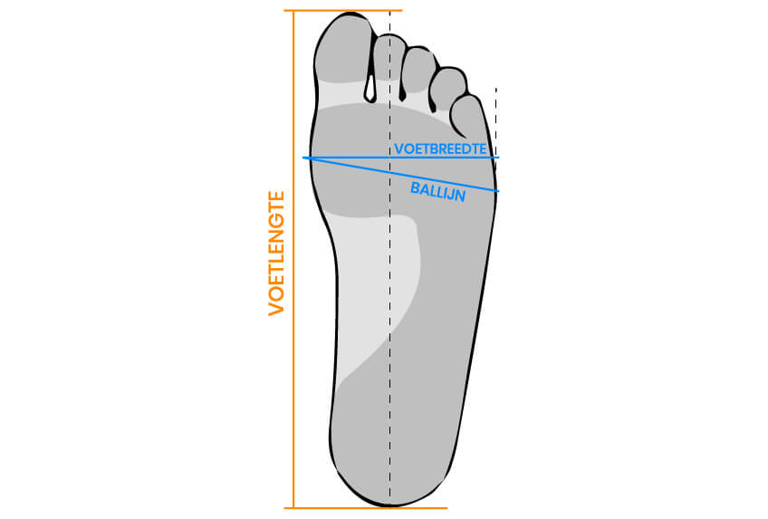 Voorbeeld voet meten