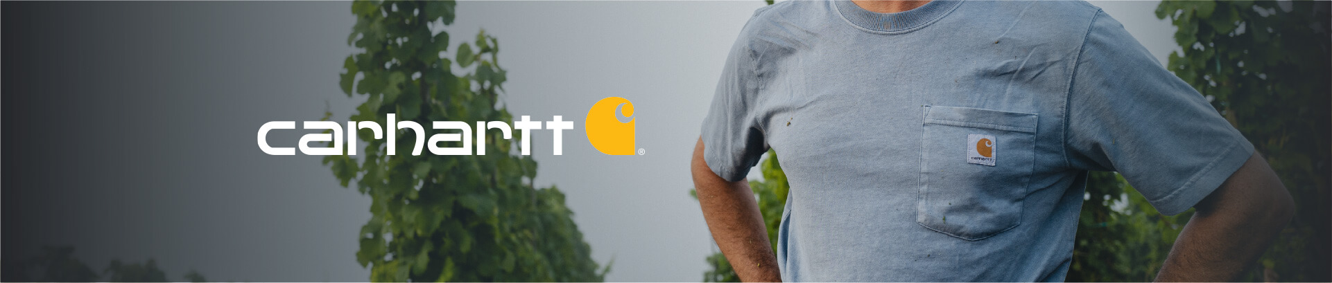 Carhartt T-shirts korte mouw