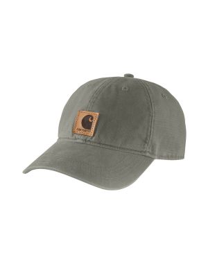 Carhartt Pet Logo 100289 71workx Dusty Olive DOV voor