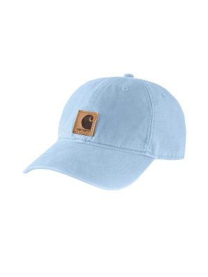 Carhartt Pet Logo 100289 71workx Fog blue HC5 voor