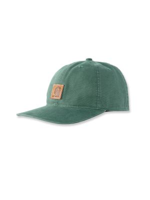 Carhartt Pet Logo 100289 71workx Frosted Balsam GH6 voor