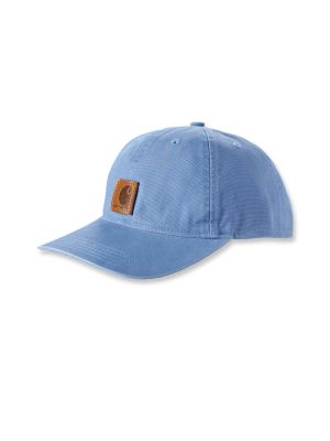 Carhartt Pet Logo 100289 Skystone HD0 71workx voor