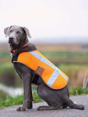Carhartt P000342 Hond Safety Vest